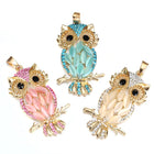Collar Chouette Doradoe 4