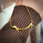 Collar teckel Dorado 3