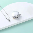 Collar Urna Corazón Colibrí 2