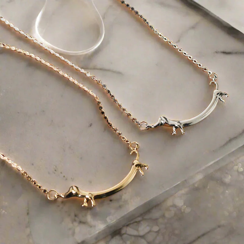 Collar teckel Dorado